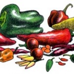 31 Million Foodies in U.S.